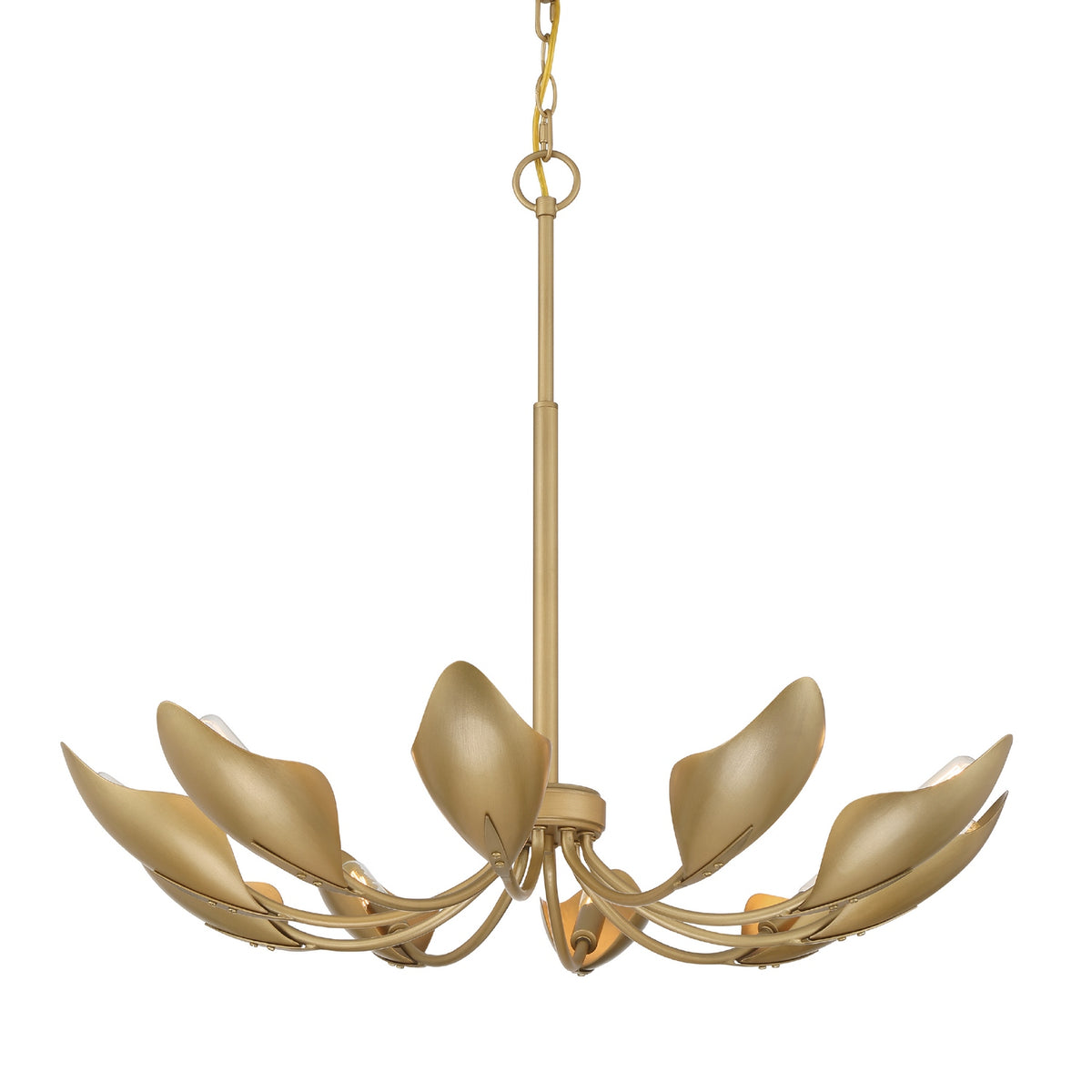 Hunter - 48222 - Ten Light Chandelier - Juneway - Matte Black