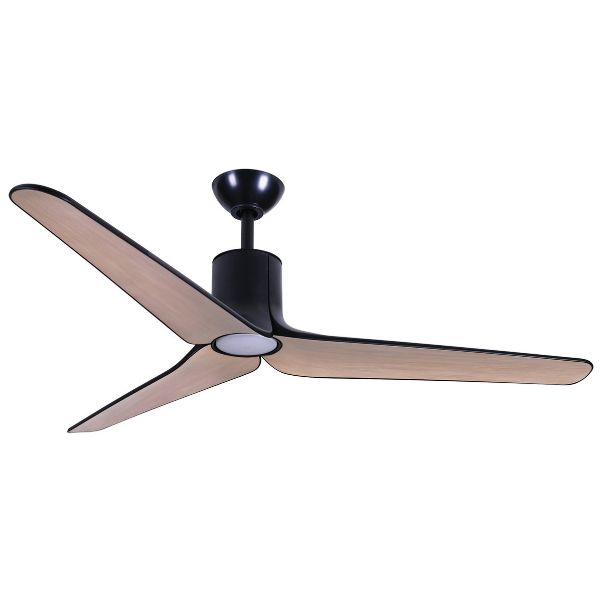 Tempri Ceiling Fan