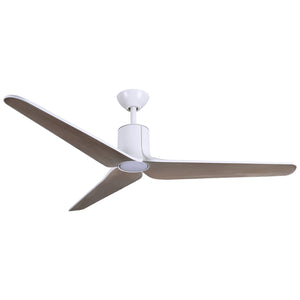 Tempri Ceiling Fan