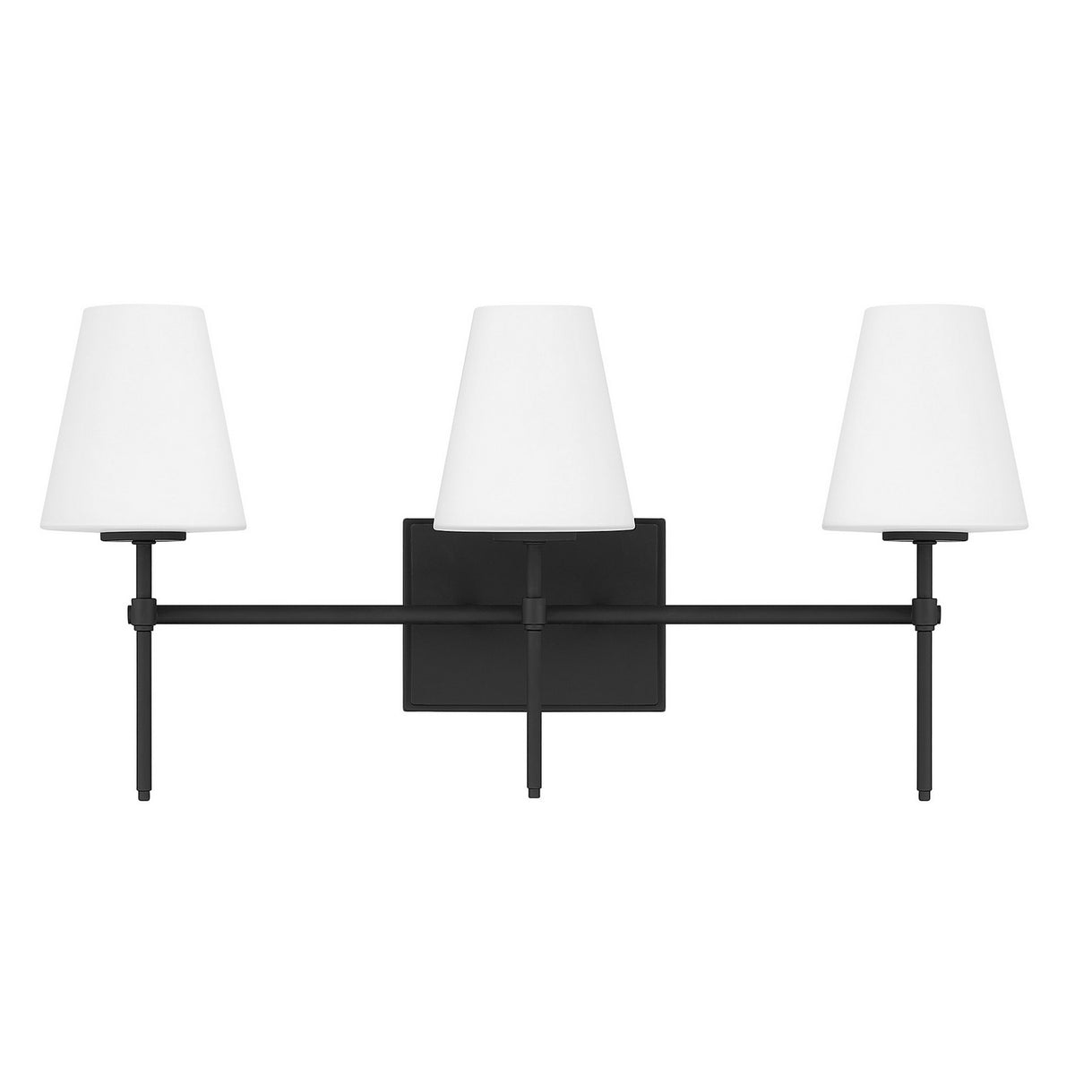 Hunter - 13250 - Three Light Bathroom Vanity - Camelia Stem - Matte Black
