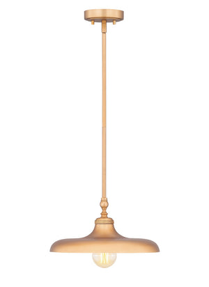 Z-Lite - 2308P14-RB - One Light Pendant - Camden - Rubbed Brass