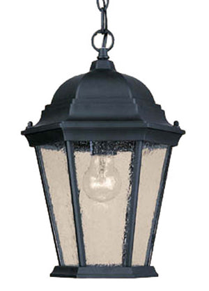 Acclaim Lighting - 5206BK/SD - One Light Hanging Lantern - Richmond - Matte Black