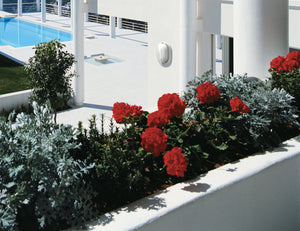 Nuvo Lighting - 60-524 - One Light Outdoor Bulk Head - Die Cast Bulk Heads Semi Gloss White - Semi Gloss White