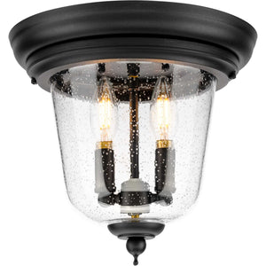 Progress Lighting - P5562-31 - Two Light Close to Ceiling - Ashmore - Textured Black