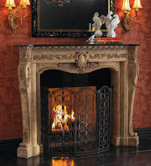 Ambella Home - 01129-420-070 - Fireplace - Floral - Cast Stone and Black Fossil