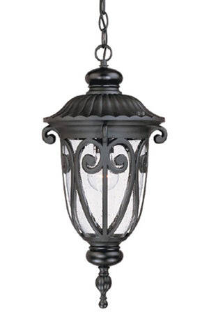 Acclaim Lighting - 2116BK - One Light Hanging Lantern - Naples - Matte Black