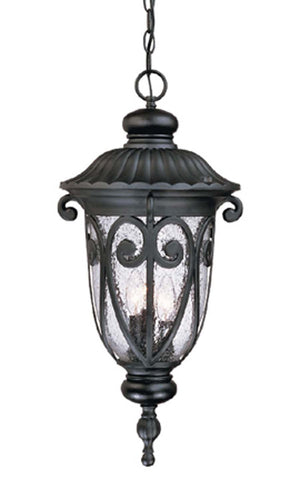 Acclaim Lighting - 2126BK - Three Light Hanging Lantern - Naples - Matte Black