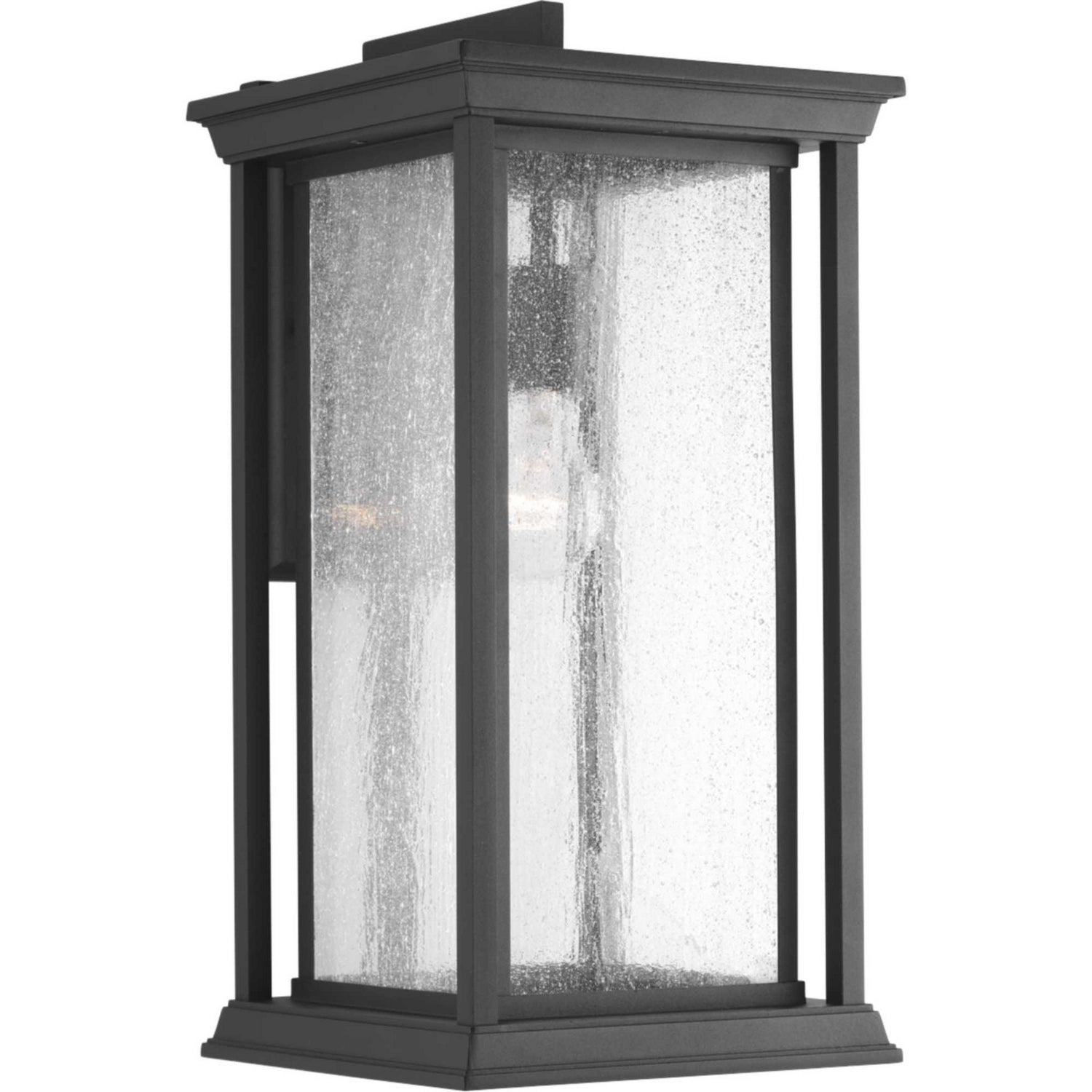 Progress Lighting - P5613-31 - One Light Wall Lantern - Endicott - Black