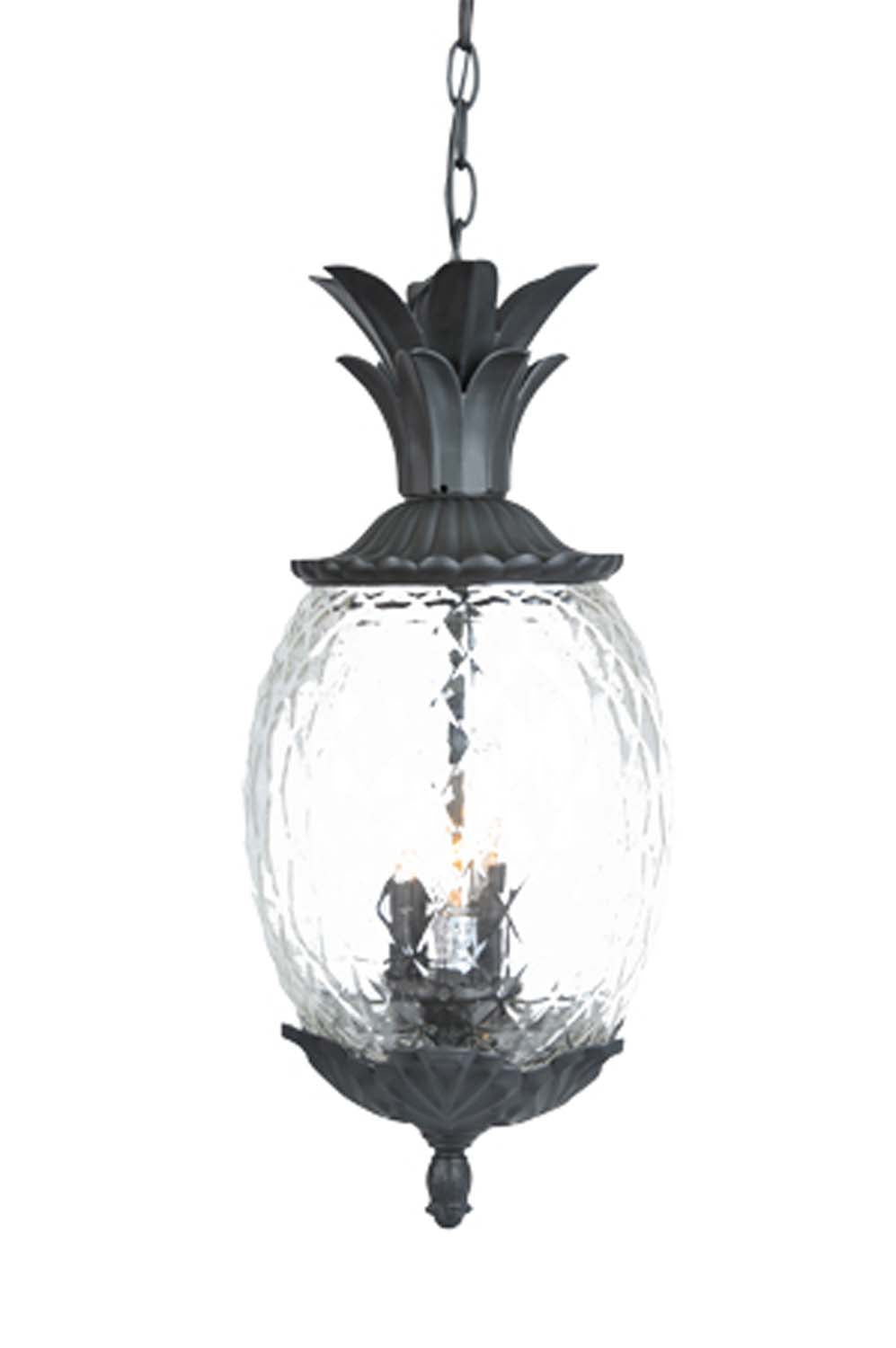 Acclaim Lighting - 7516BK - Three Light Hanging Lantern - Lanai - Matte Black