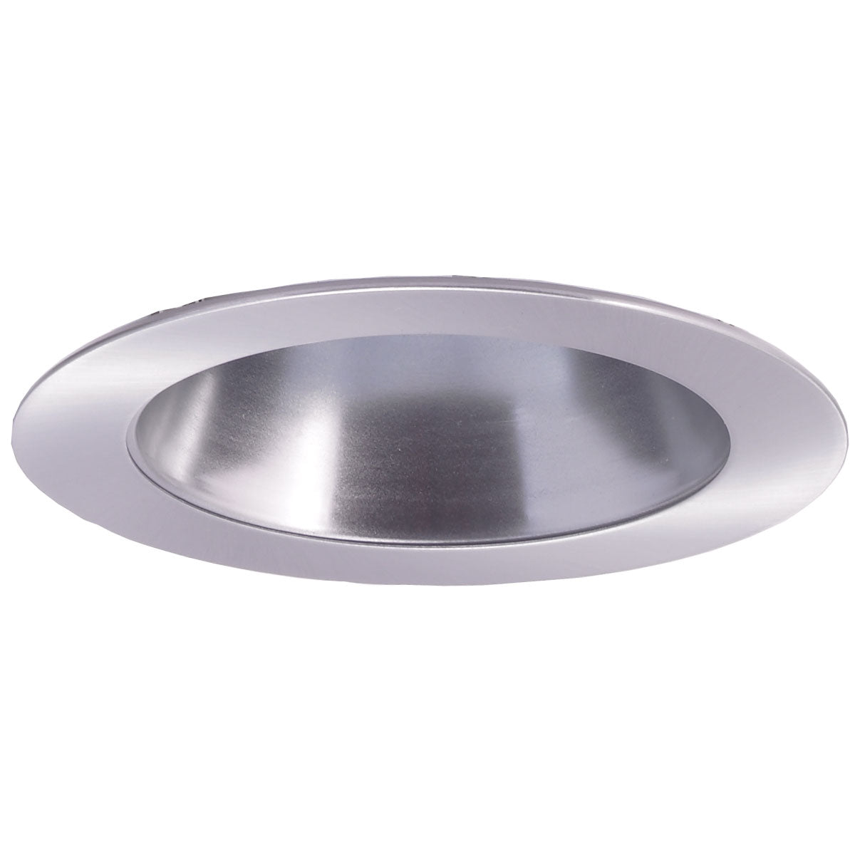 Nora Lighting - NL-452 - 4"Reflectorector,Nm,Nm Ring - Rec Lv 4" Trim - Natural Metal/Natural Metal Ring