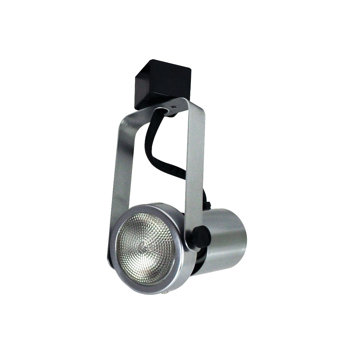 Nora Lighting - NTH-112N - Gimbal Par20 Natural - Track Inc Line Voltage - Natural Metal