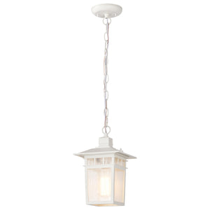 Nuvo Lighting - 60-4954 - One Light Hanging Lantern - Cove Neck - White