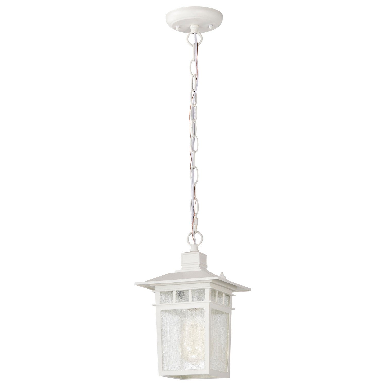 Nuvo Lighting - 60-4954 - One Light Hanging Lantern - Cove Neck - White