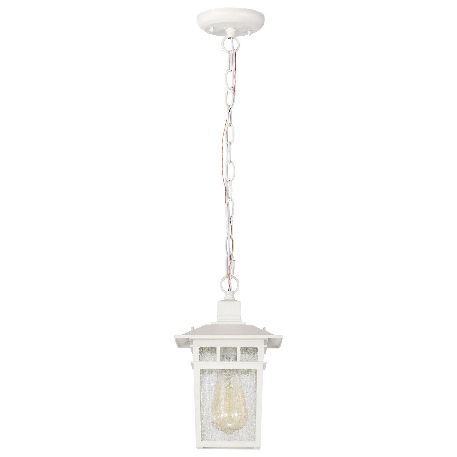 Nuvo Lighting - 60-4954 - One Light Hanging Lantern - Cove Neck - White