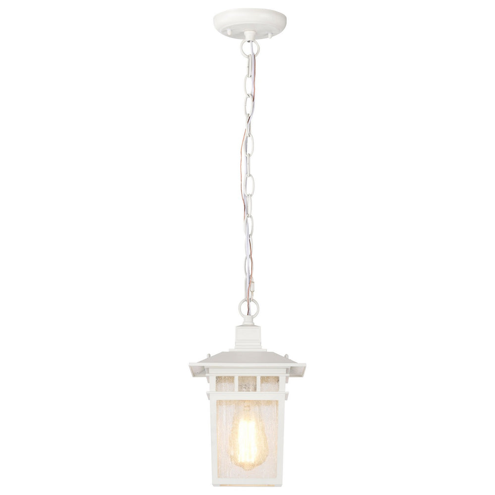 Nuvo Lighting - 60-4954 - One Light Hanging Lantern - Cove Neck - White