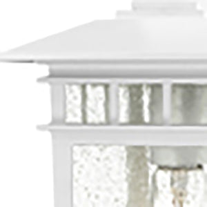 Nuvo Lighting - 60-4954 - One Light Hanging Lantern - Cove Neck - White