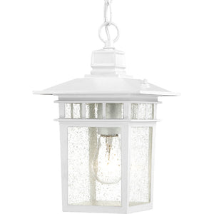 Nuvo Lighting - 60-4954 - One Light Hanging Lantern - Cove Neck - White