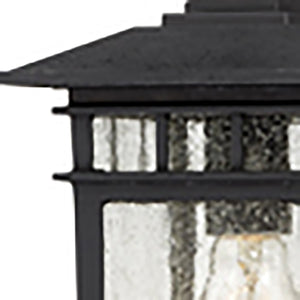 Nuvo Lighting - 60-4956 - One Light Hanging Lantern - Cove Neck - Textured Black