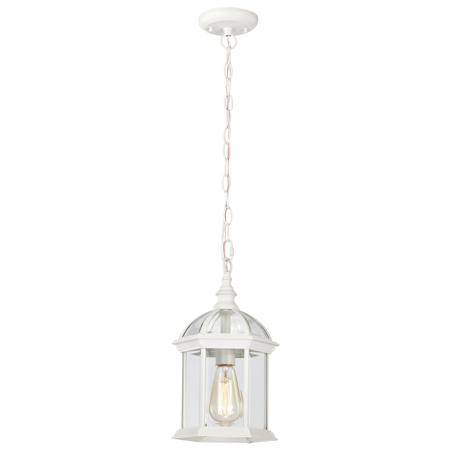 Nuvo Lighting - 60-4977 - One Light Hanging Lantern - Boxwood - White