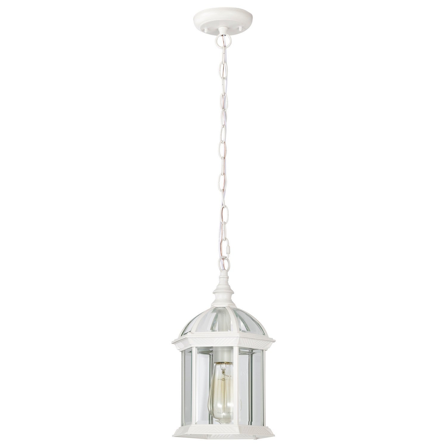 Nuvo Lighting - 60-4977 - One Light Hanging Lantern - Boxwood - White