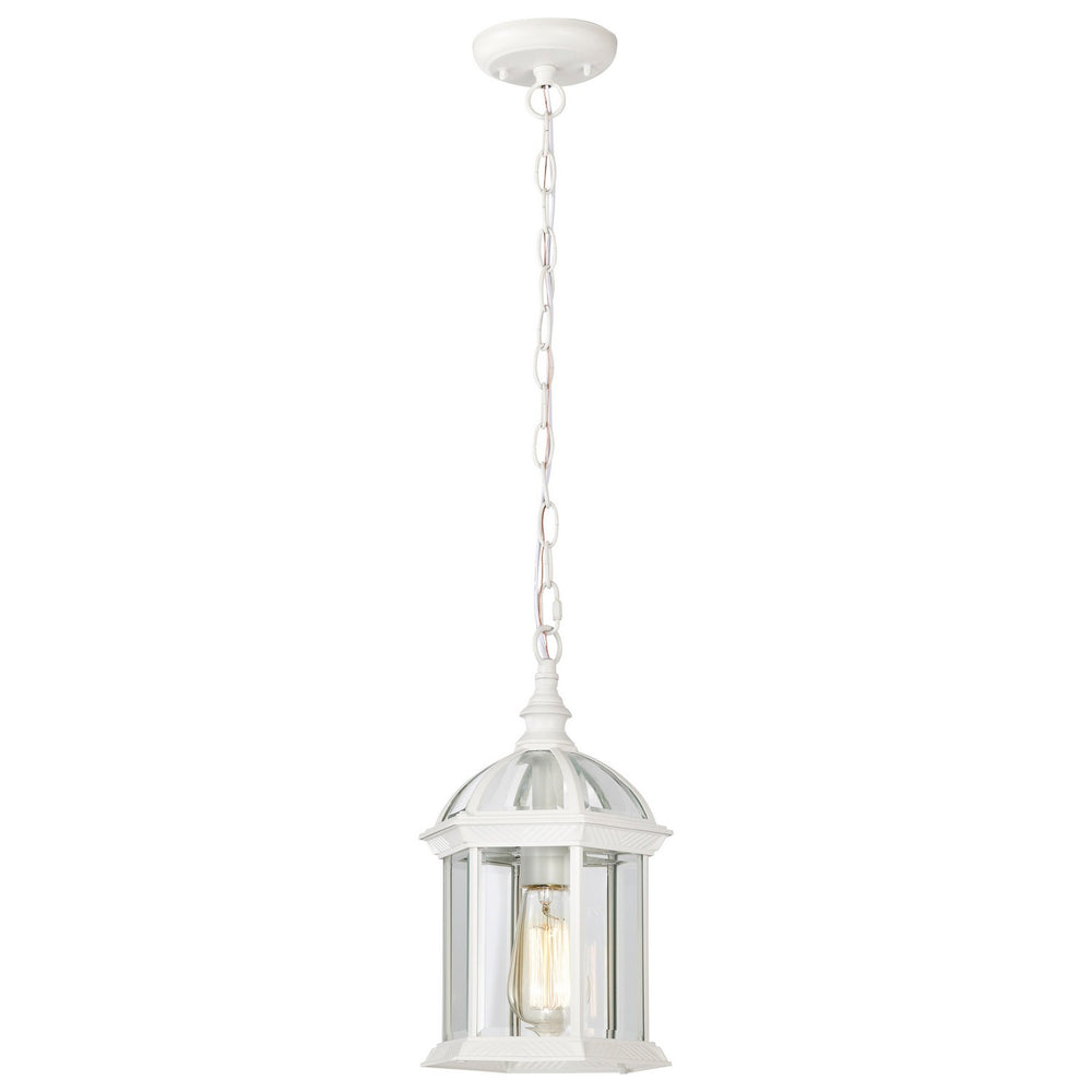 Nuvo Lighting - 60-4977 - One Light Hanging Lantern - Boxwood - White