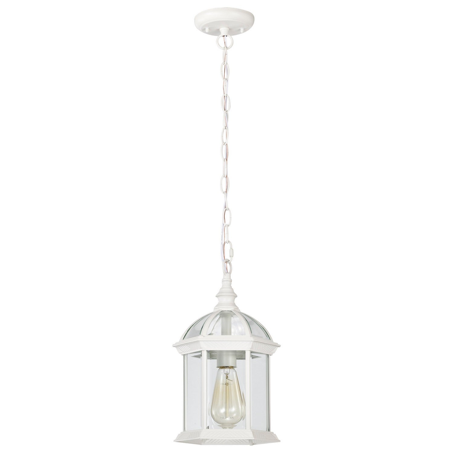 Nuvo Lighting - 60-4977 - One Light Hanging Lantern - Boxwood - White