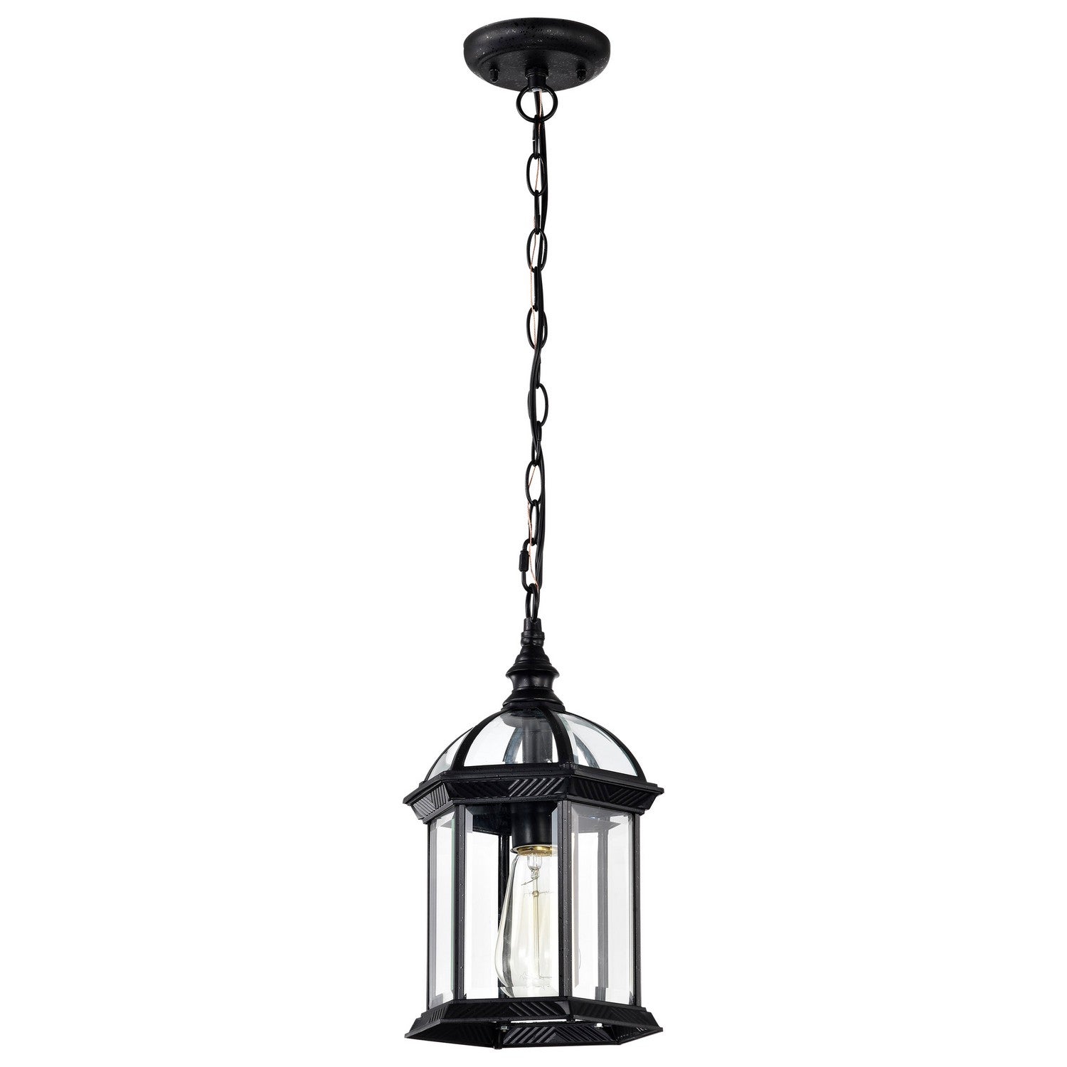 Nuvo Lighting - 60-4979 - One Light Hanging Lantern - Boxwood - Textured Black