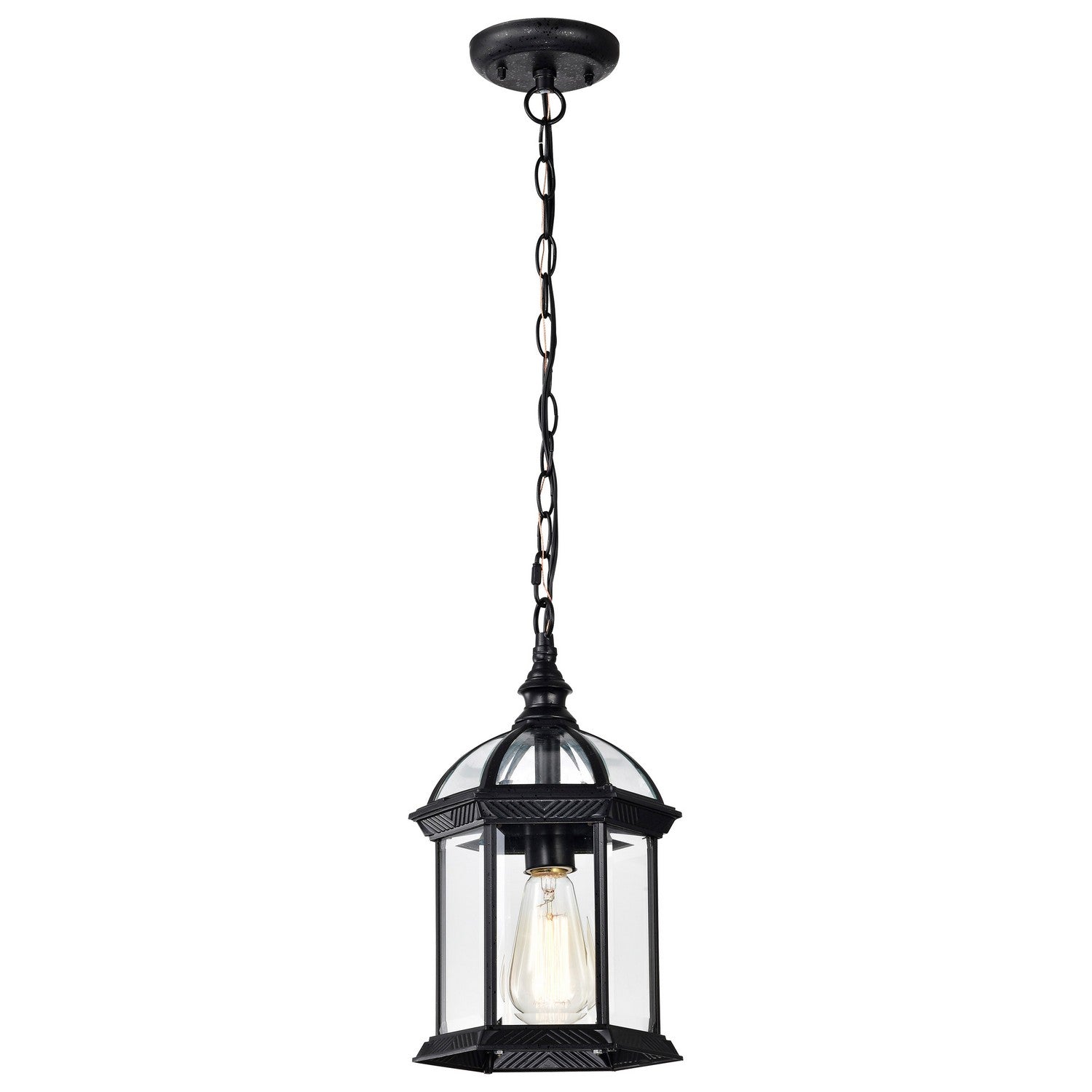 Nuvo Lighting - 60-4979 - One Light Hanging Lantern - Boxwood - Textured Black