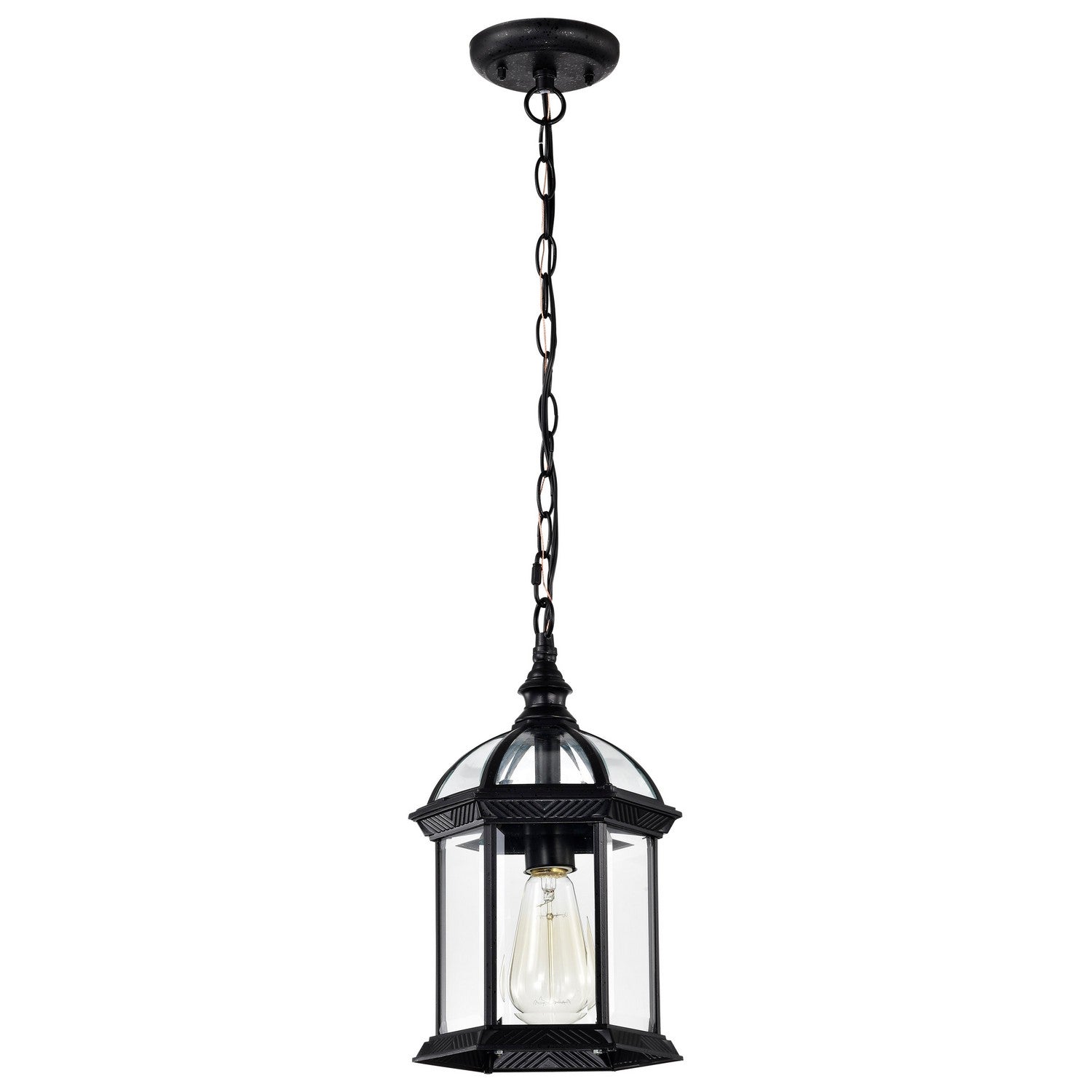 Nuvo Lighting - 60-4979 - One Light Hanging Lantern - Boxwood - Textured Black