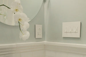 Legrand - ARTR153W4 - 15A Dual Tamper-Resistant Plus-Size Outlet - adorne - White