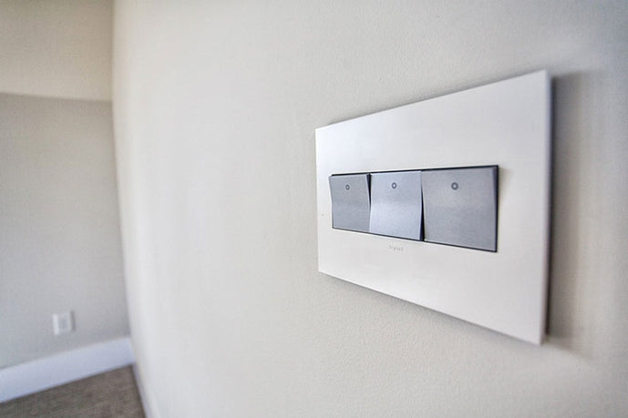 Legrand - ASPD2032M4 - 20A Paddle Switch with Microban - adorne - Magnesium