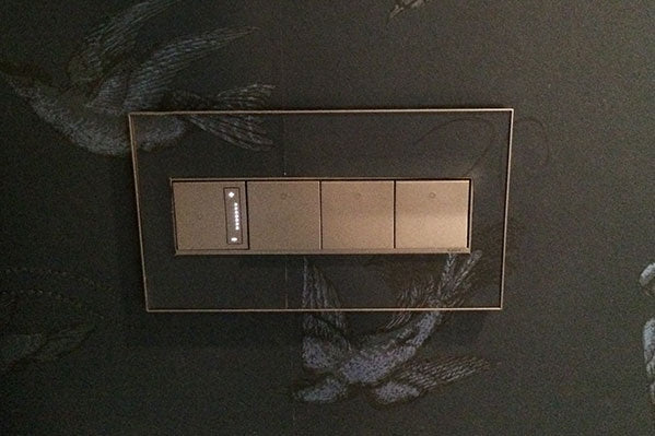 Legrand - ASPD2042M4 - 20A 4-Way Paddle Switch with Microban - adorne - Magnesium