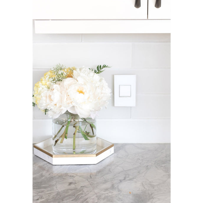 Legrand - AWM2GMW4 - Two-Gang Screwless Wall Plate - adorne - Mirror White