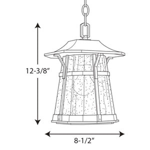 Progress Lighting - P5579-84 - One Light Hanging Lantern - Derby - Espresso