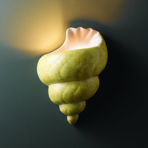 Justice Designs - CER-3700-SEAK - Wall Sconce - Ambiance - Conch Shell