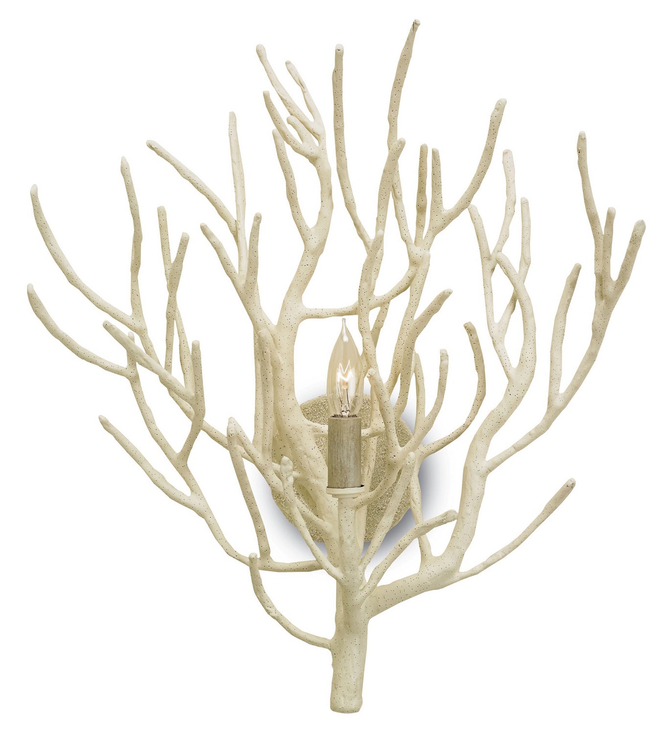 Currey and Company - 5158 - One Light Wall Sconce - Eventide - White Coral