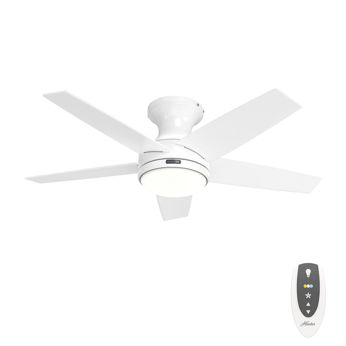 Hunter - 55100 - 44" Ceiling Fan - Dreska - Matte Black
