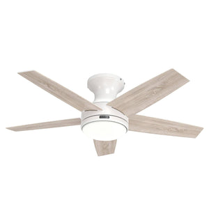 Hunter - 55100 - 44" Ceiling Fan - Dreska - Matte Black