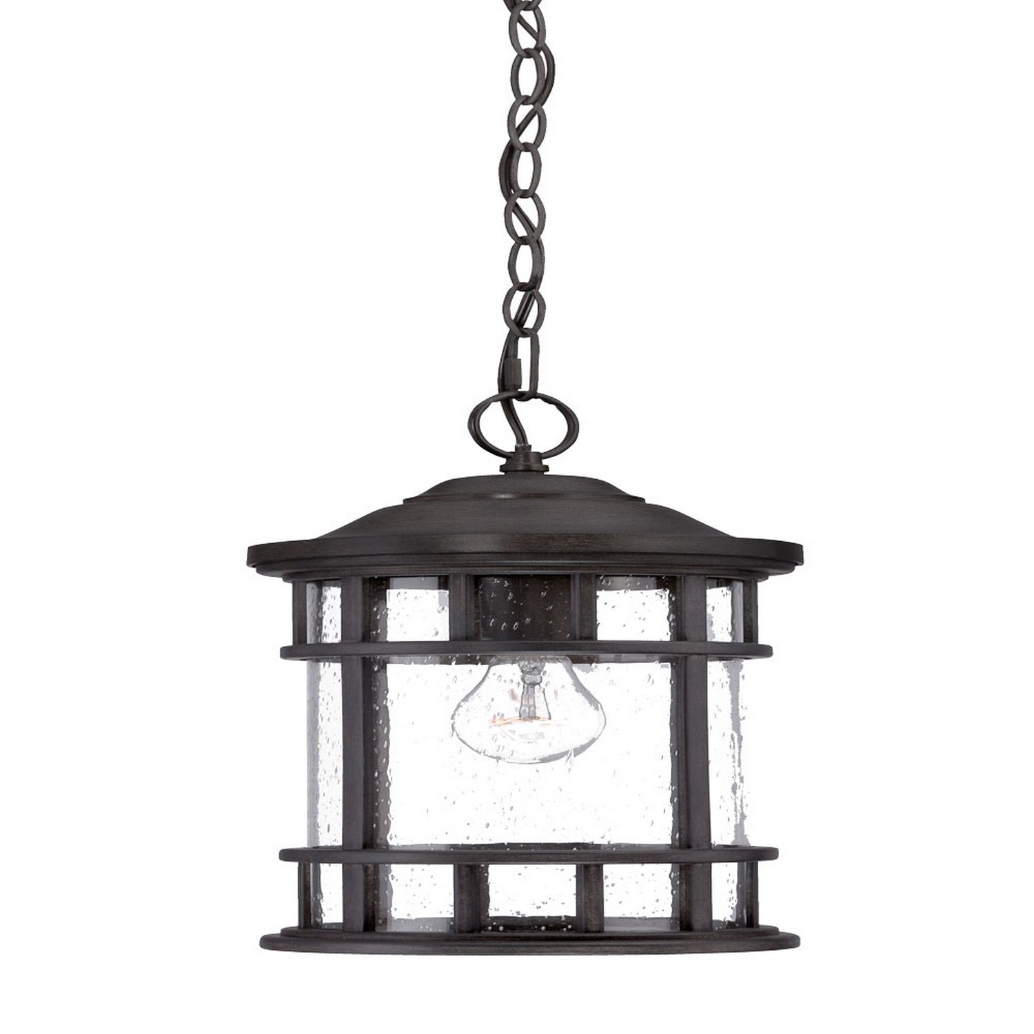 Acclaim Lighting - 31946BC - One Light Hanging Lantern - Vista II - Black Coral