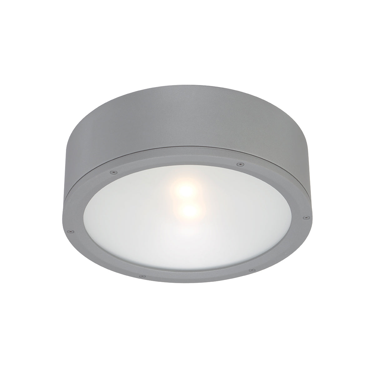 W.A.C. Lighting - FM-W2612-GH - LED Flush Mount - Tube - Graphite