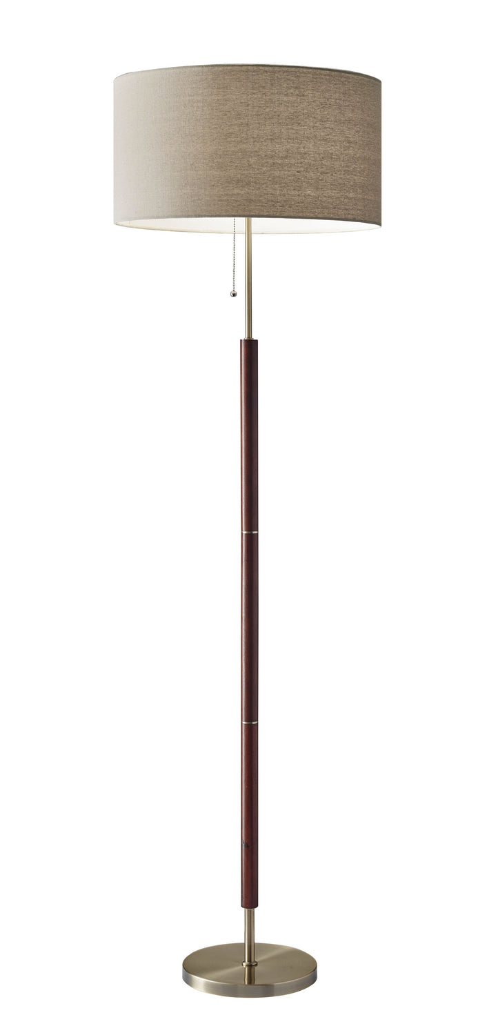 Adesso Home - 3377-15 - Floor Lamp - Hamilton - Antique Brass