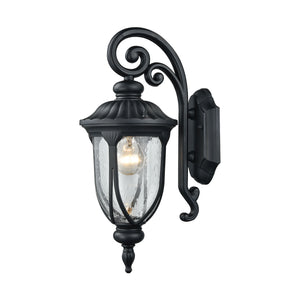 ELK Home - 87100/1 - One Light Outdoor Wall Sconce - Derry Hill - Matte Black