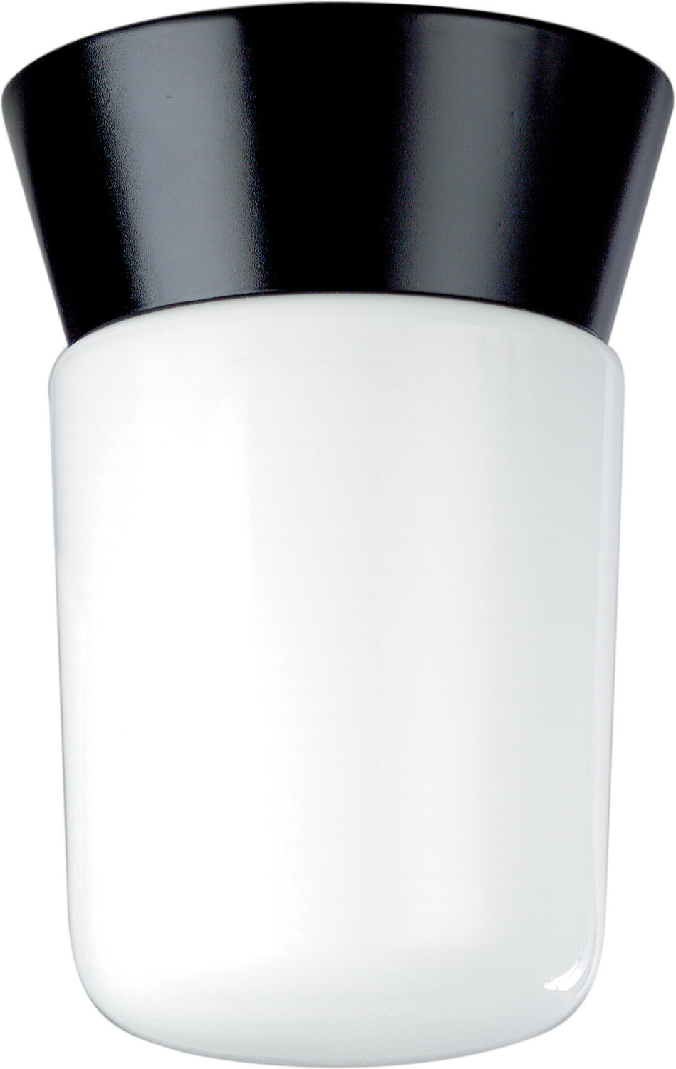 Nuvo Lighting - SF77-154 - One Light Ceiling Mount - Black