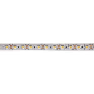 Dainolite Ltd - DLT-OD-3517 - LED Tape Light - LED - Clear