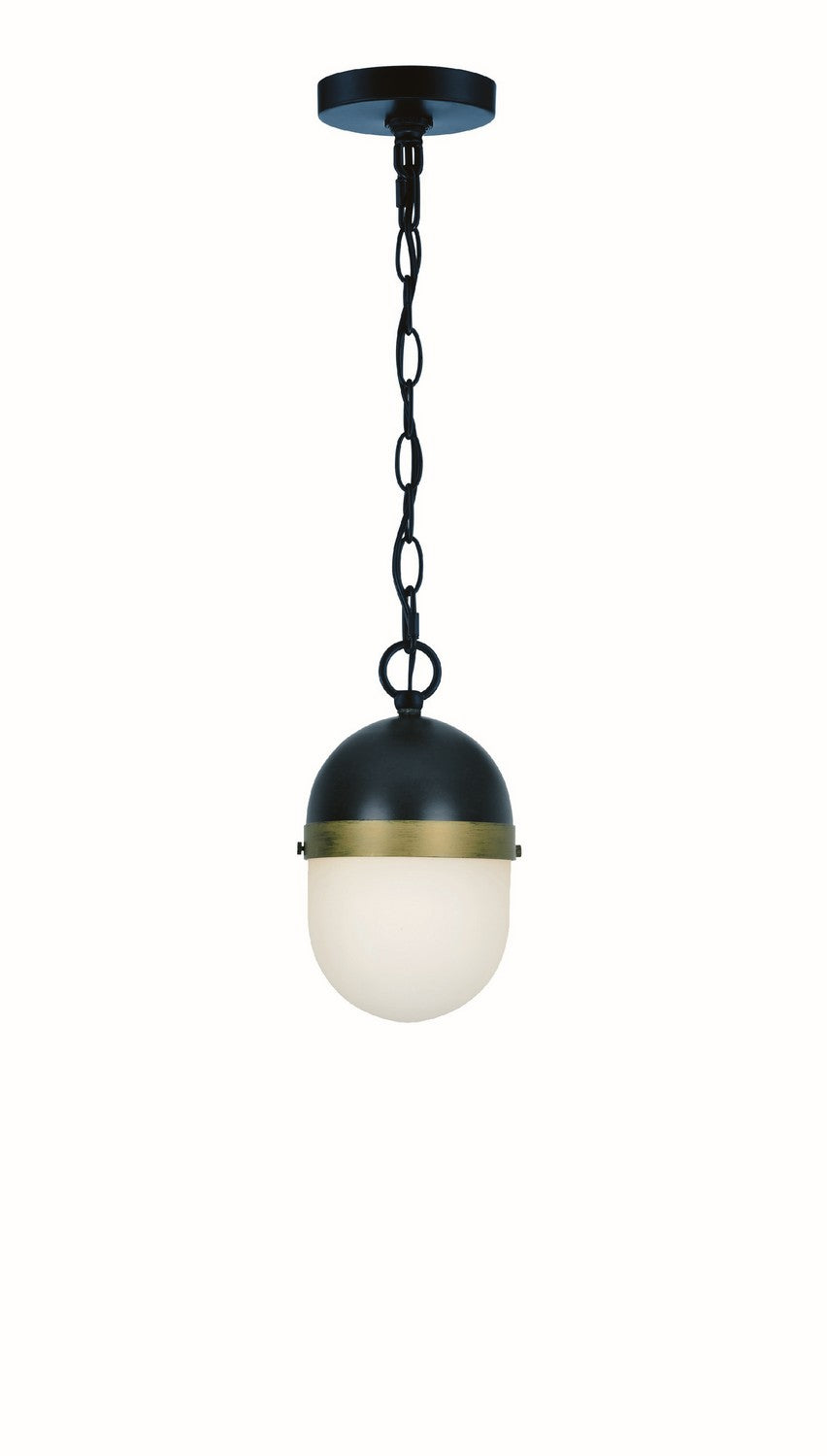 Crystorama - CAP-8505-MK-TG - One Light Outdoor Pendant - Capsule - Matte Black / Textured Gold