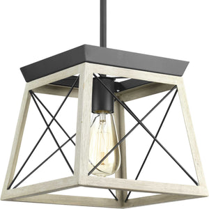 Progress Lighting - P500041-143 - One Light Pendant - Briarwood - Graphite