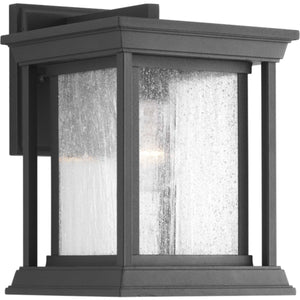 Progress Lighting - P5605-31 - One Light Wall Lantern - Endicott - Black