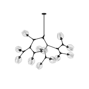 Artcraft - JA14022BK - 12 Light Chandelier - Organic - Black