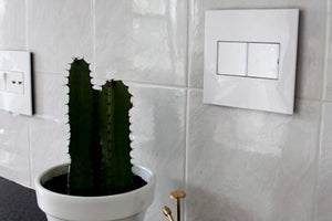 Legrand - AWP2GWHW10 - Two-Gang Screwless Wall Plate with Microban - adorne - Gloss White on White