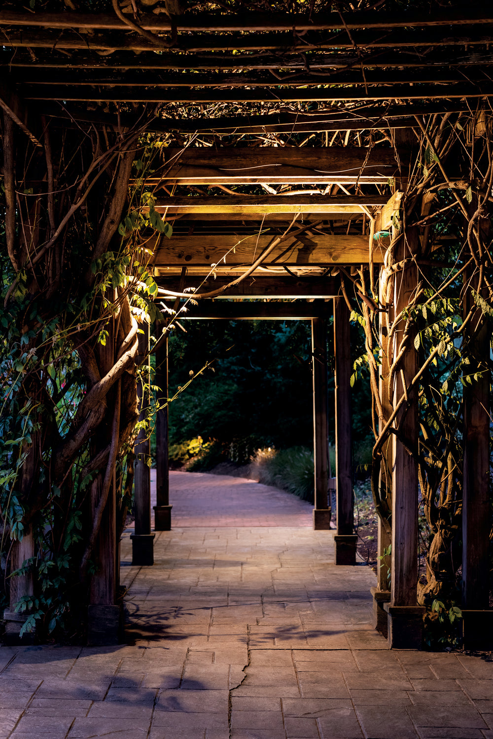 Kichler - 16016AZT27 - LED Accent - Landscape Led - Textured Architectural Bronze